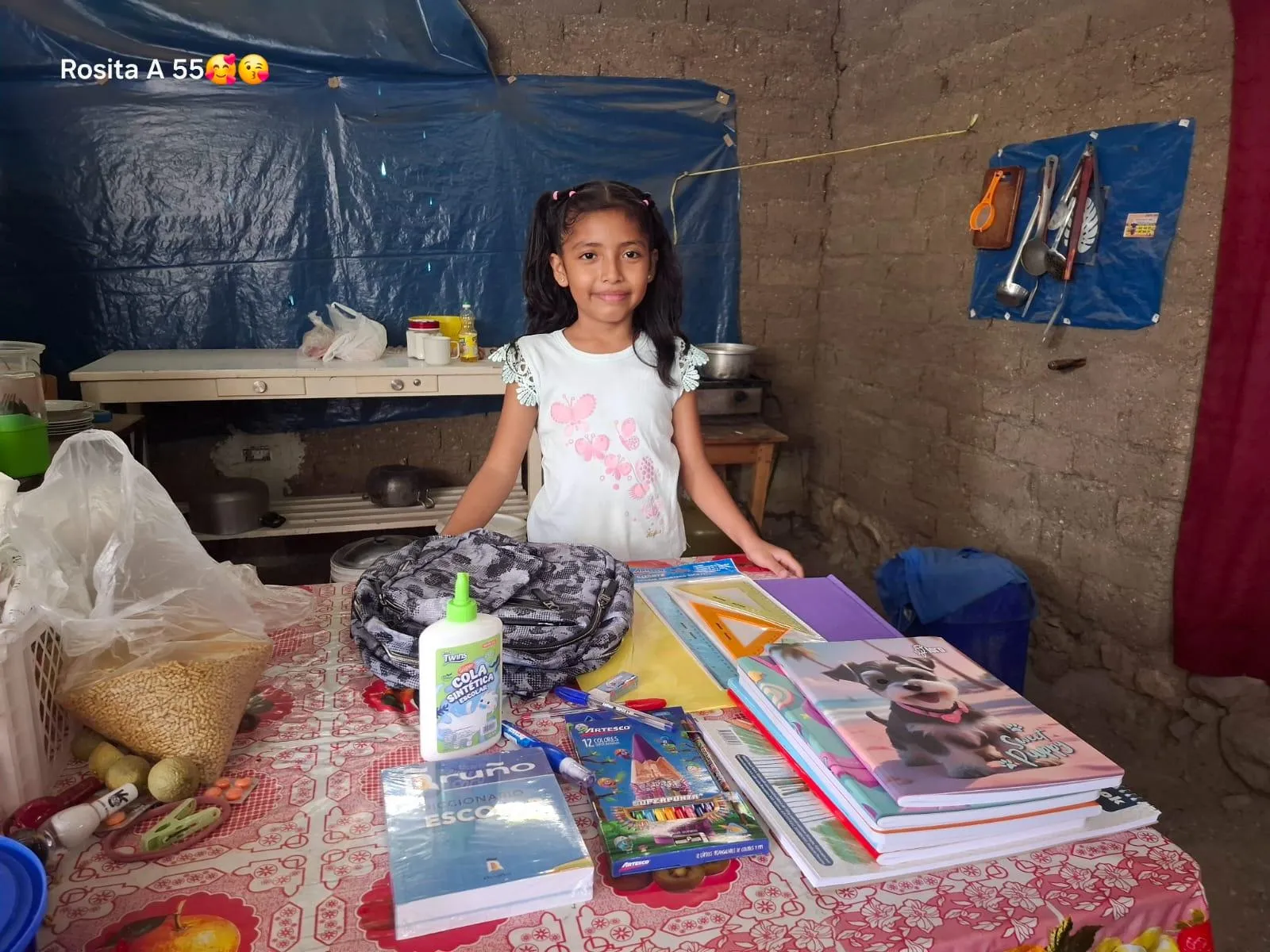 Kind met rugzak en schriften